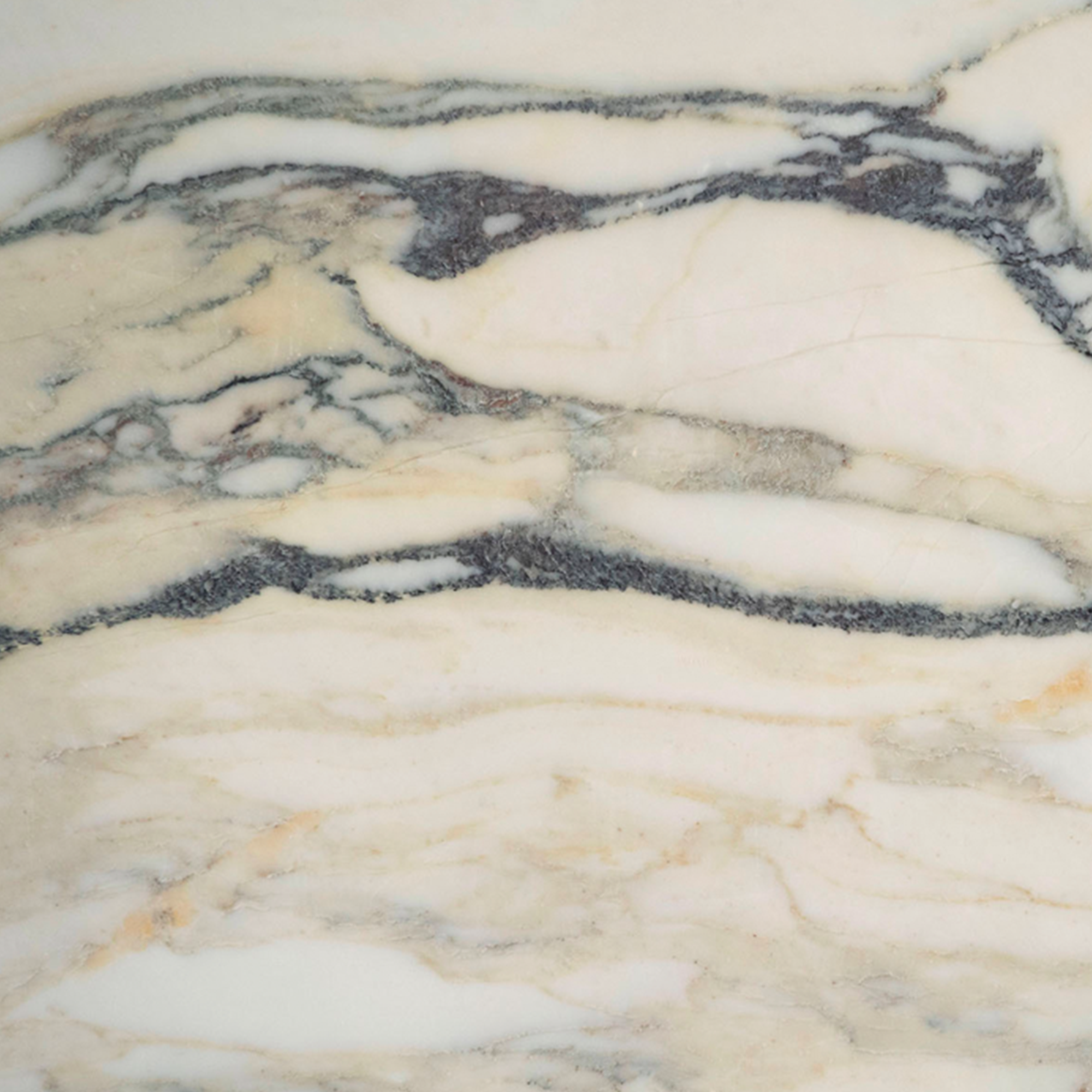 Calacatta Monet marble