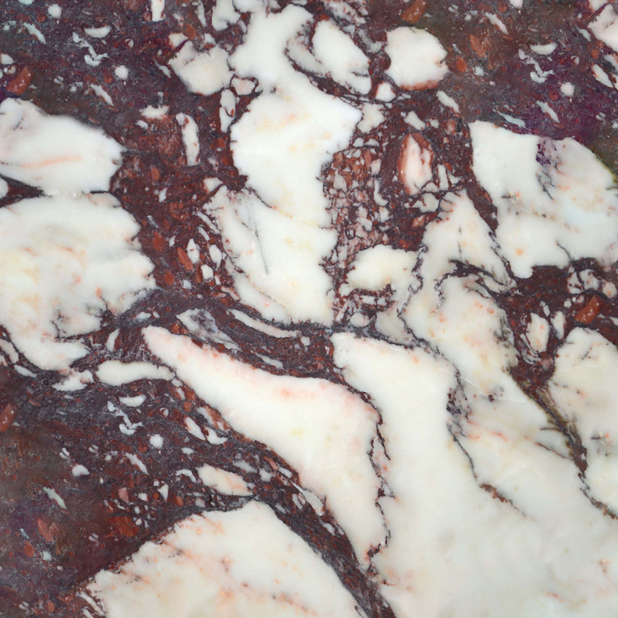 Calacatta Viola marble